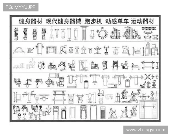 女性在家锻炼必备健身器材推荐与搭配方案