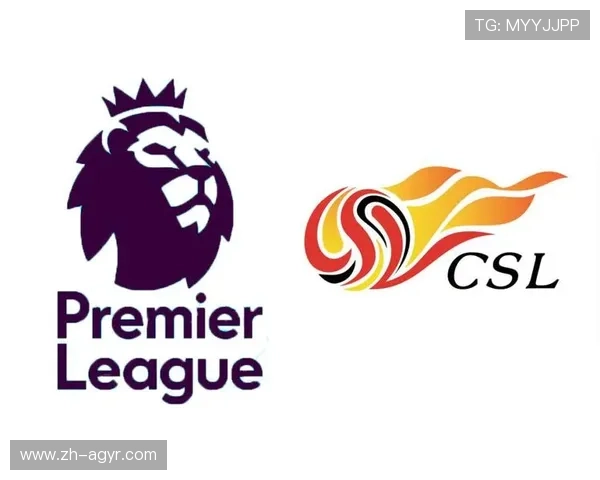 英超球队与中超联赛的异同及两大联赛未来合作潜力分析